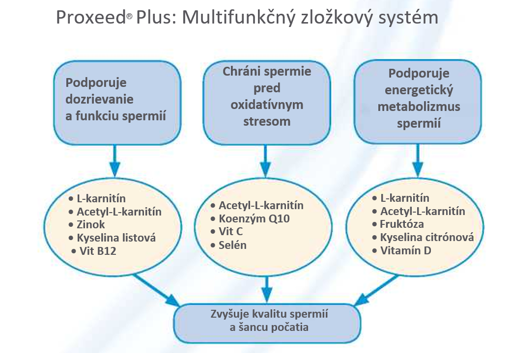 proxeed plus zlozky